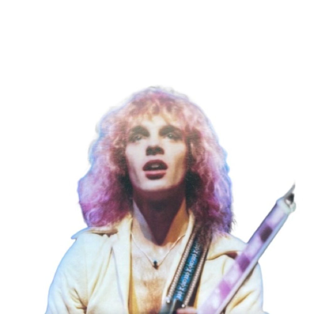 Frampton Comes Alive! Vinyl Records Classic 90s 80s Vintage Music Collection